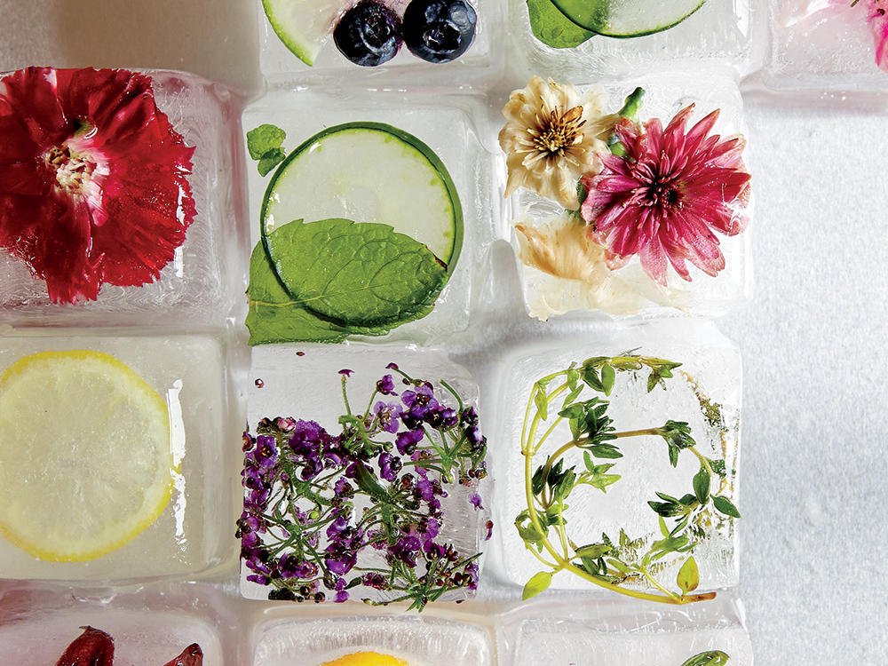 ecozoi Ecozoi Stainless Steel Ice Cube Trays with Easy Release, 2 Pack, 12 Large Cubes